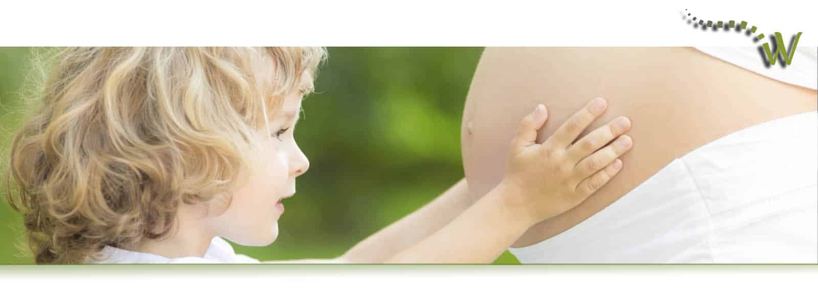prenatal chiropractor langley